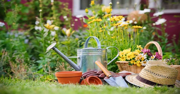Basic gardening tools