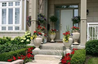 plants for front door entrance india