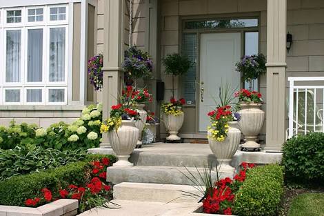 plants for front door entrance india