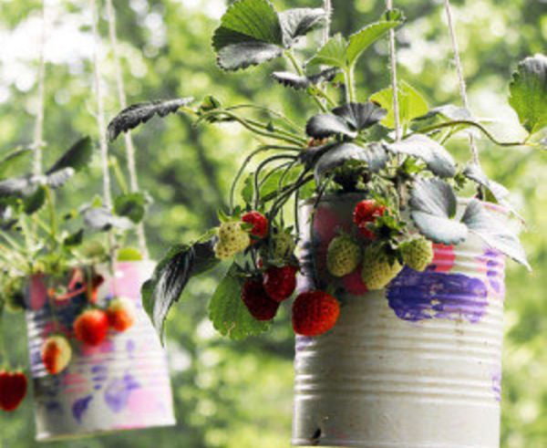 vegetable container gardening for beginners