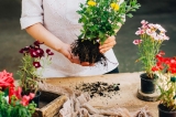 How Gardening Reduces Stress And Good For Health