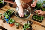 Terrarium Plants Ideas: With Terrarium, Make A Little World.