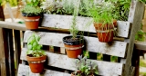 Is a portable garden also your requirements? This blog will be helpful for you!