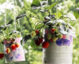 How to grow plants in pots: The bigger the pot, the better